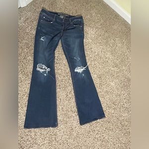 American Eagle artist flare